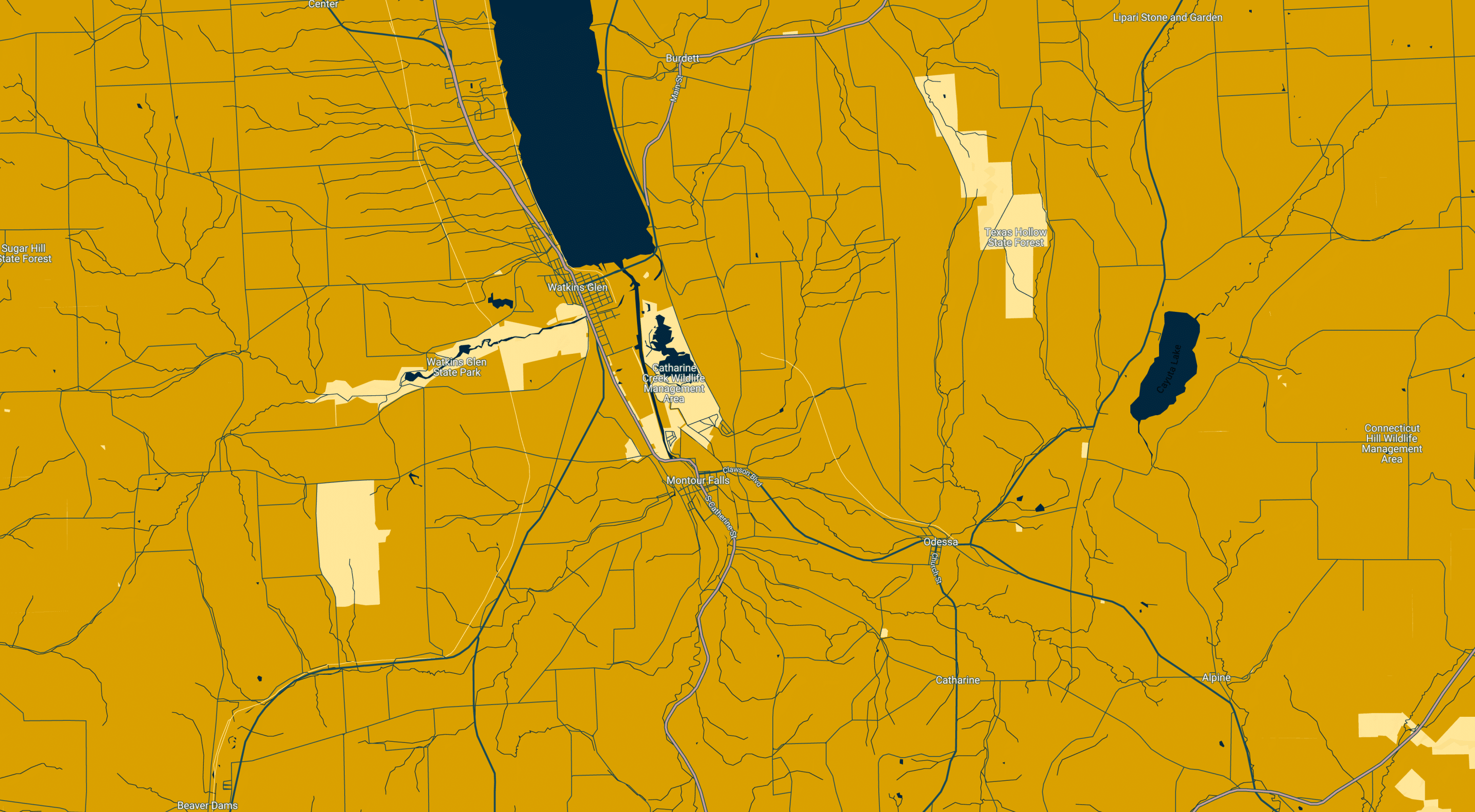 finger lakes region map in goldenrod and blue